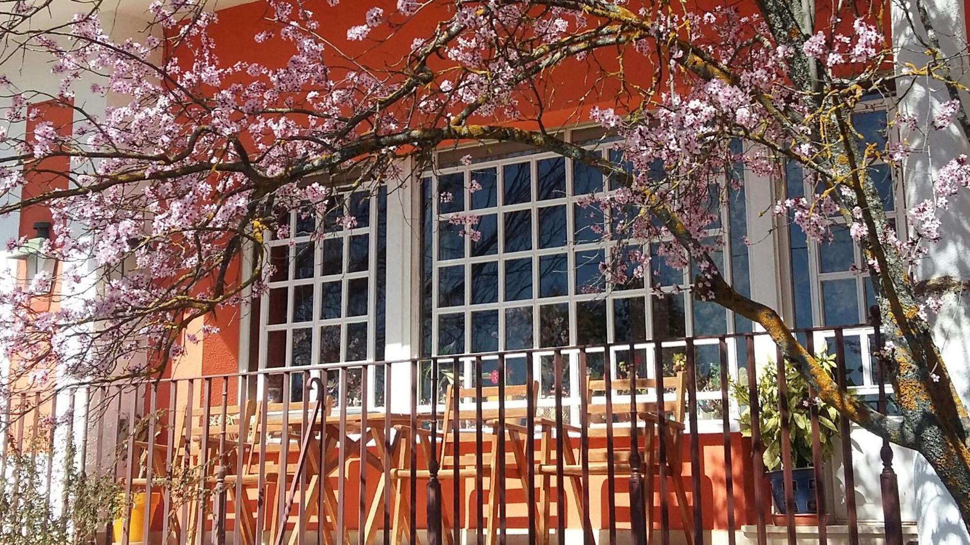 La Casa Grande de Quintanas de Gormaz Villa Dış mekan fotoğraf