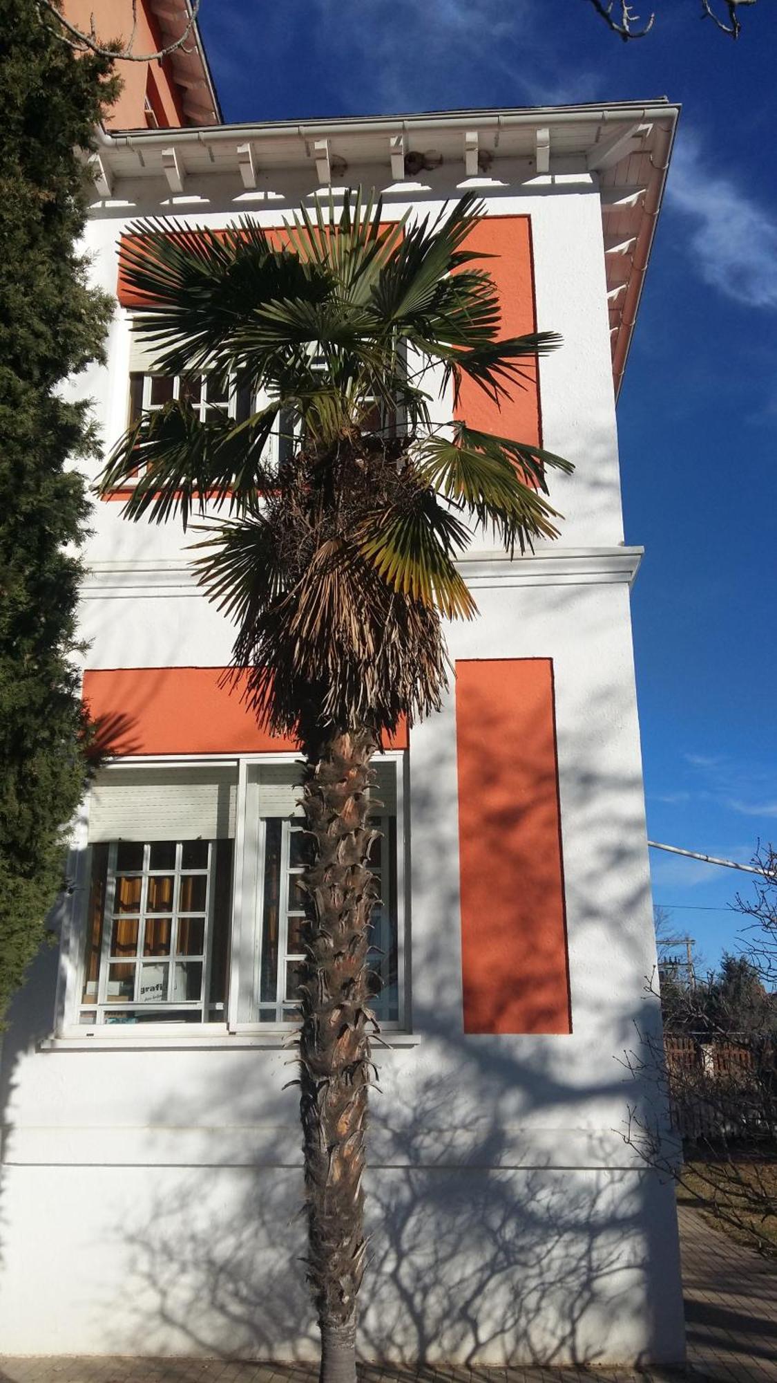 La Casa Grande de Quintanas de Gormaz Villa Dış mekan fotoğraf